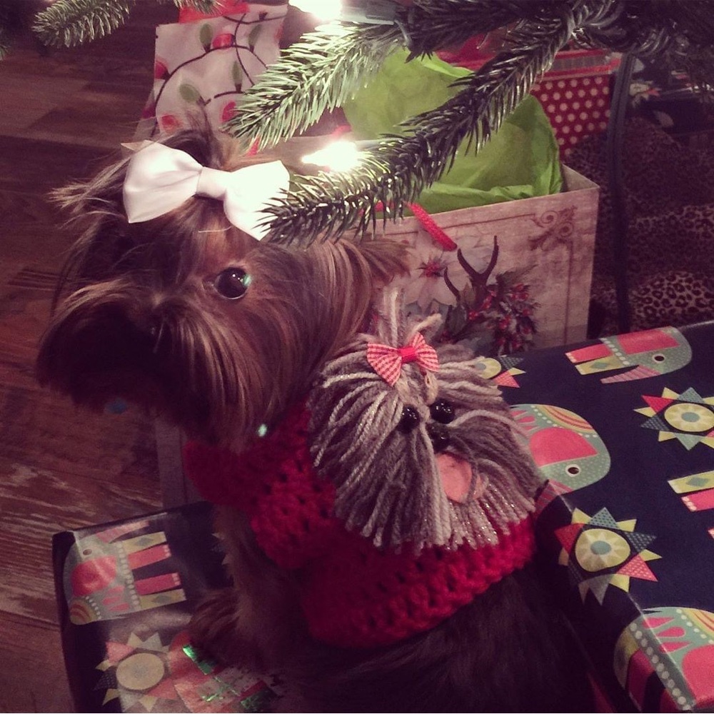 Xs pink and ivory dog Yorkie sweater.